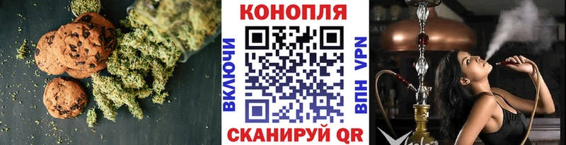 Canna-Cookies марихуана  Купить где  Махачкала 