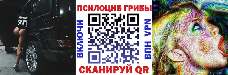 Псилоцибиновые грибы Cubensis  Купить закладки  Махачкала