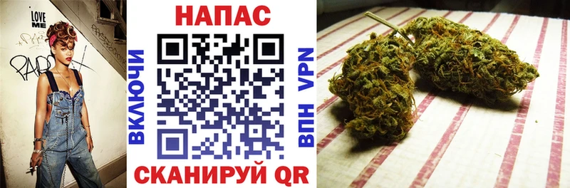 Купить закладки  Махачкала  Бошки Шишки White Widow 